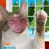 breezysmiles